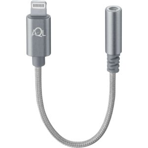 Aux Adapter Audio