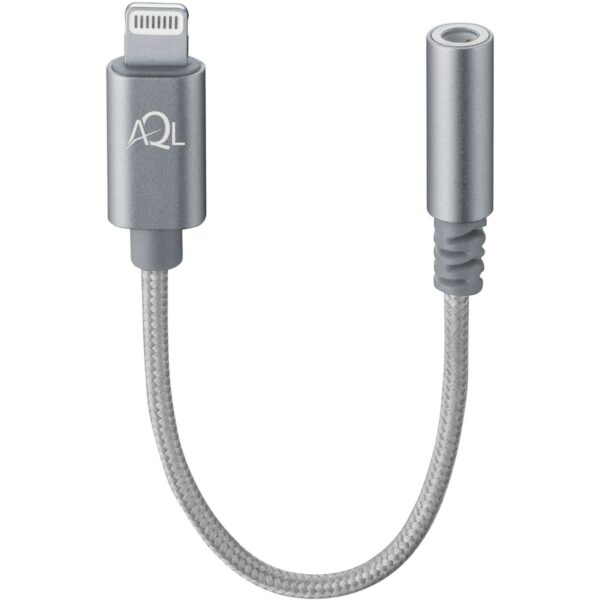Aux Adapter Audio